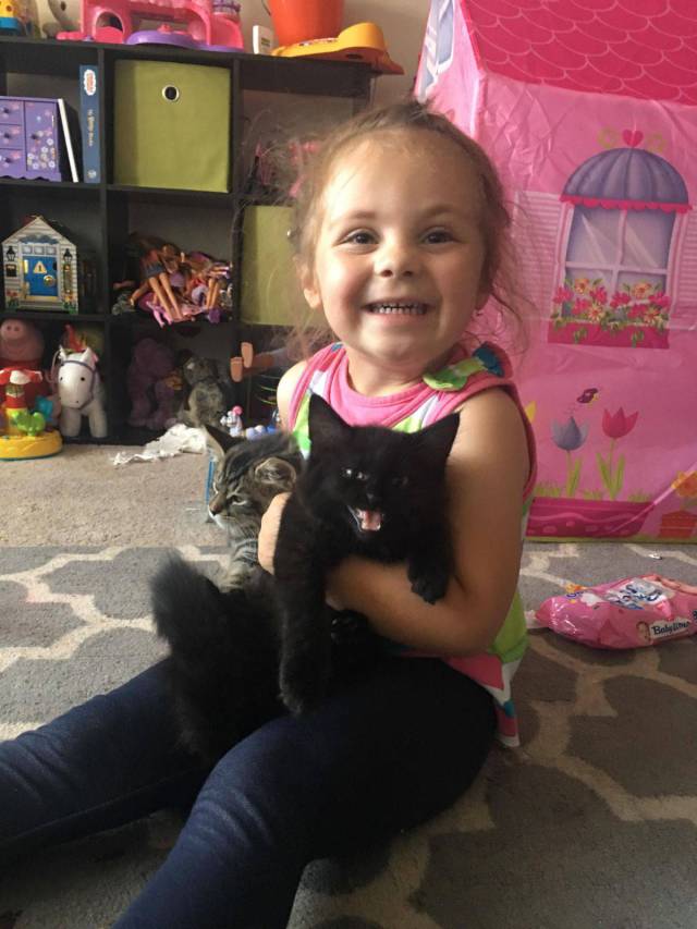 daily picdump 98 pics 33.html - 98 HD Photos | Premium Gallery 2017