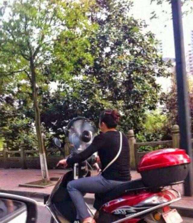 daily picdump 98 pics 33.html - 98 HD Photos | Premium Gallery 2017