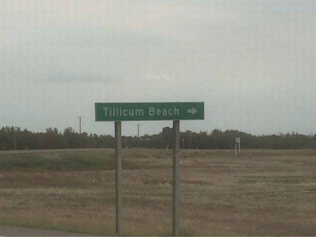 Dirty Humor Wants You Bad!