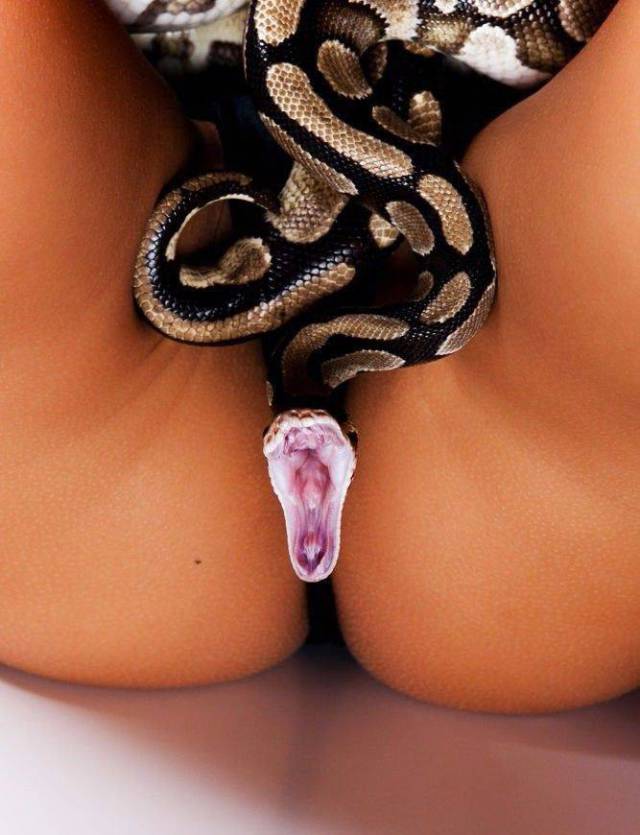 Dirty Humor Wants You Bad!