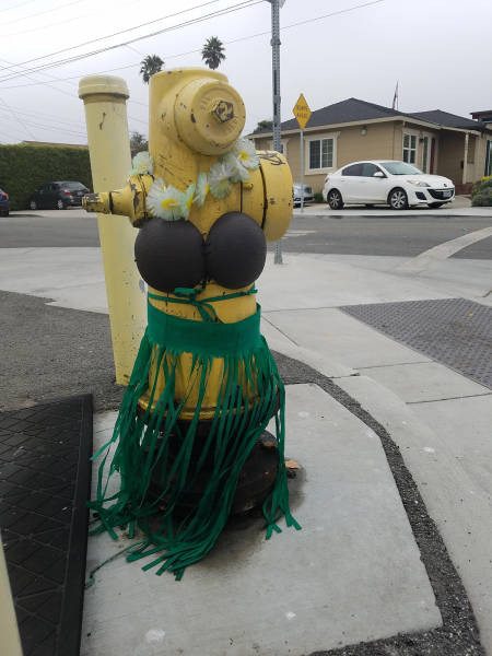 morning picdump 54 pics 21.html - 54 HD Photos | Premium Gallery 2017