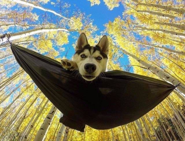 daily picdump 97 pics 2.html - 97 HD Photos | Premium Gallery 2017