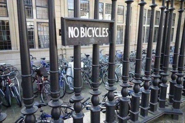 daily picdump 97 pics 2.html - 97 HD Photos | Premium Gallery 2017