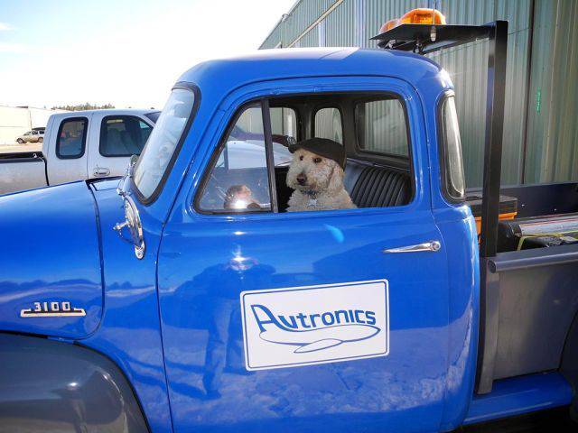 daily picdump 97 pics 2.html - 97 HD Photos | Premium Gallery 2017