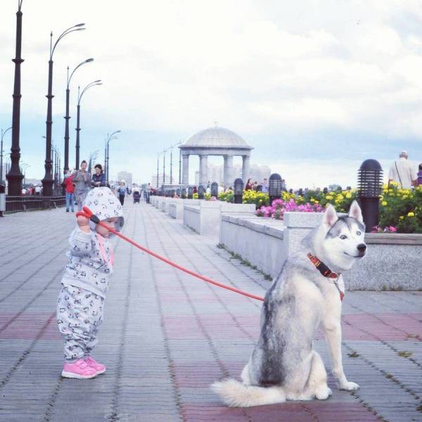 daily picdump 97 pics 2.html - 97 HD Photos | Premium Gallery 2017