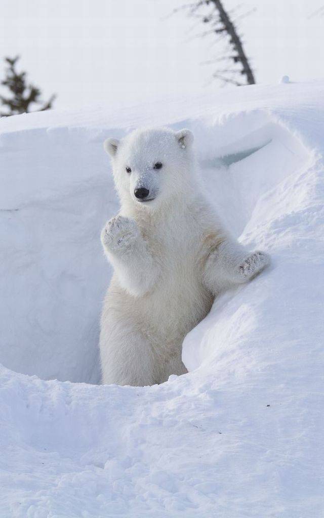 daily picdump 97 pics 2.html - 97 HD Photos | Premium Gallery 2017