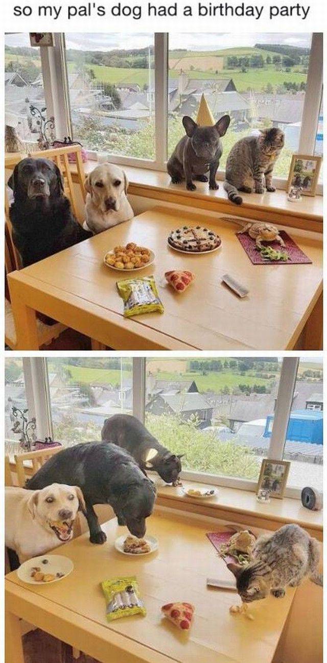 daily picdump 97 pics 2.html - 97 HD Photos | Premium Gallery 2017