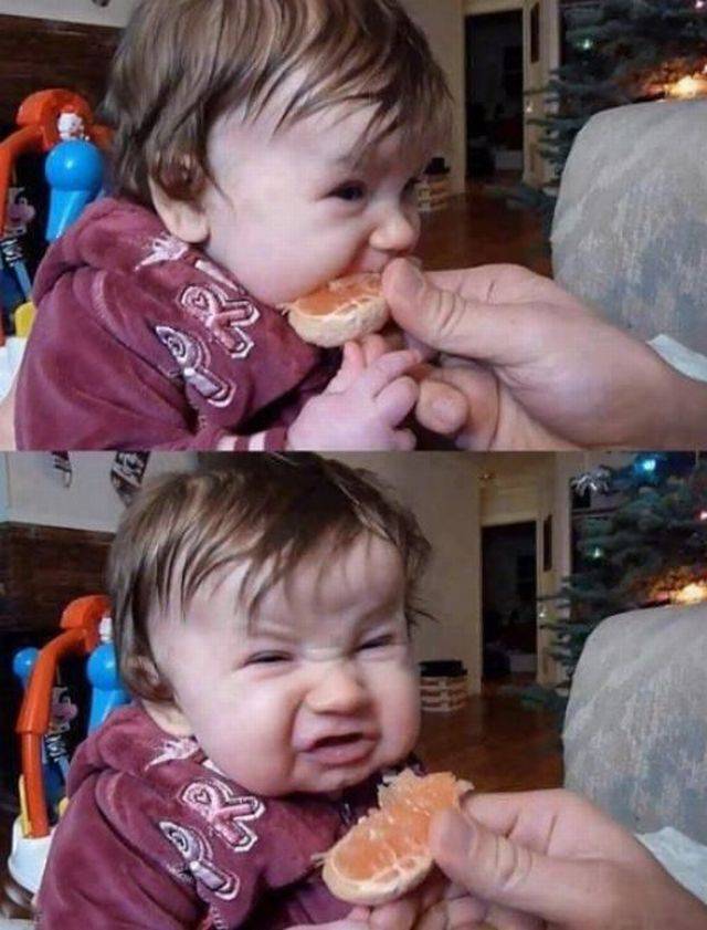 daily picdump 97 pics 2.html - 97 HD Photos | Premium Gallery 2017