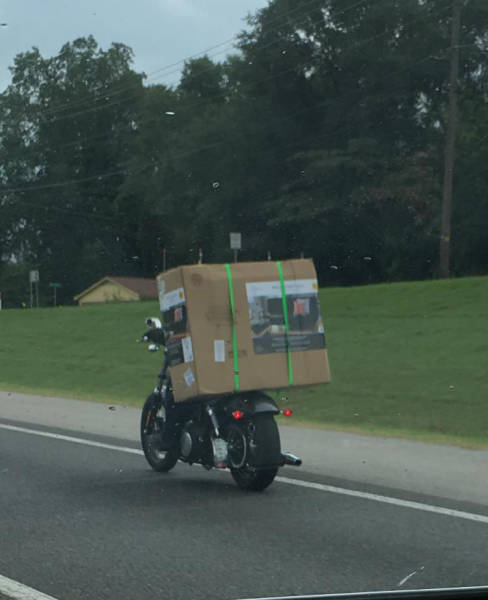 morning picdump 51 pics 2.html - 51 HD Photos | Premium Gallery 2017