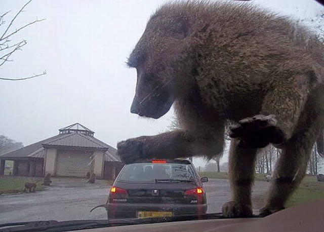 morning picdump 51 pics 2.html - 51 HD Photos | Premium Gallery 2017