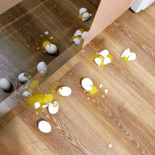 daily picdump 102 pics 32.html - 102 HD Photos | Premium Gallery 2017