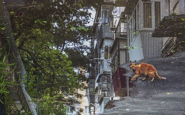 daily picdump 102 pics 32.html - 102 HD Photos | Premium Gallery 2017