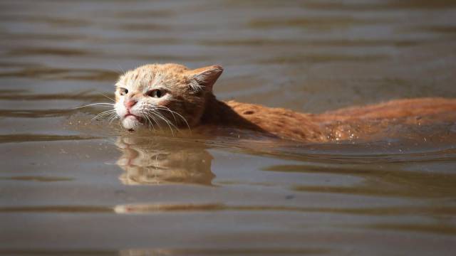 daily picdump 102 pics 32.html - 102 HD Photos | Premium Gallery 2017