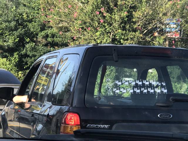 daily picdump 102 pics 32.html - 102 HD Photos | Premium Gallery 2017