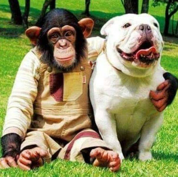 daily picdump 102 pics 32.html - 102 HD Photos | Premium Gallery 2017