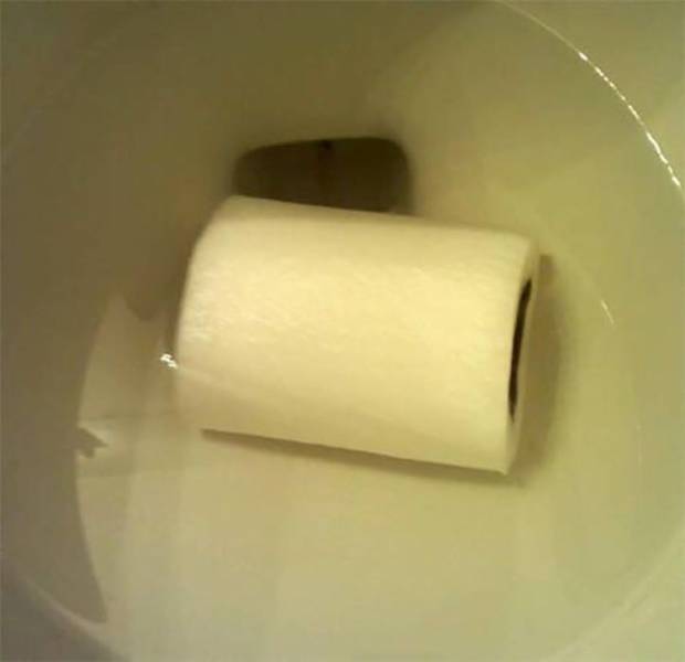 daily picdump 102 pics 32.html - 102 HD Photos | Premium Gallery 2017