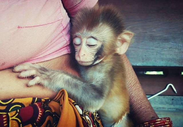 daily picdump 102 pics 32.html - 102 HD Photos | Premium Gallery 2017