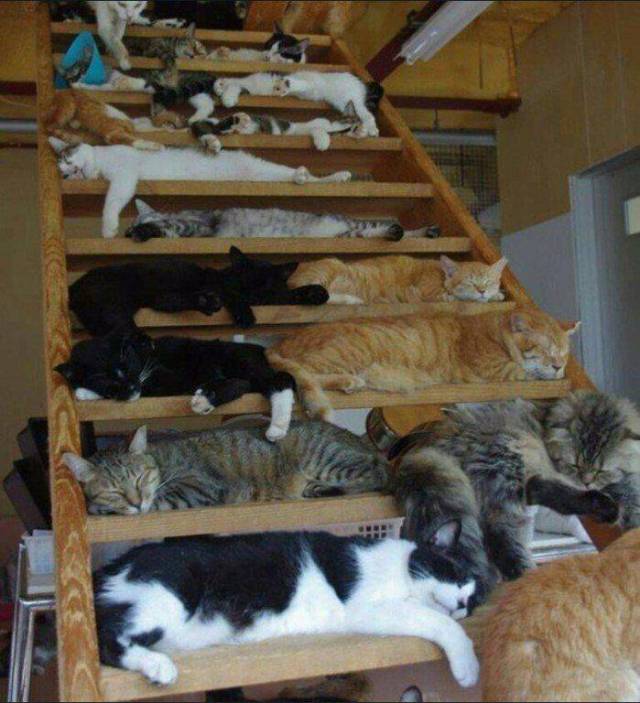 daily picdump 102 pics 32.html - 102 HD Photos | Premium Gallery 2017