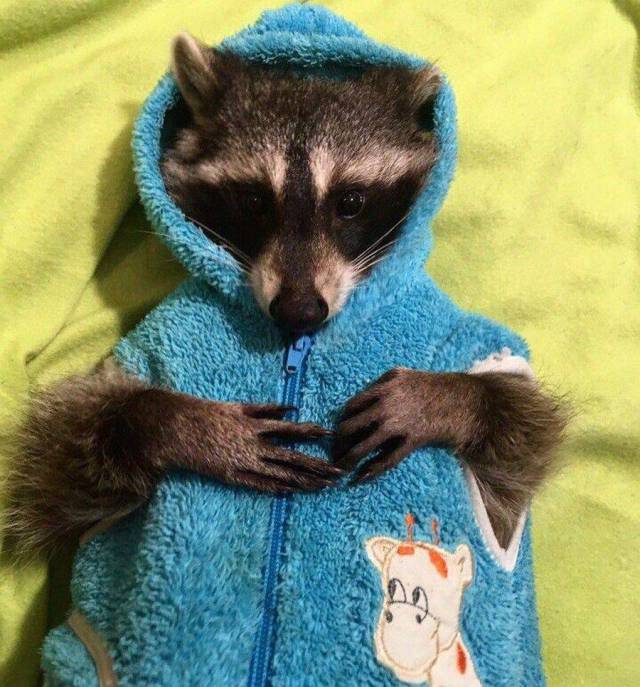 daily picdump 102 pics 32.html - 102 HD Photos | Premium Gallery 2017