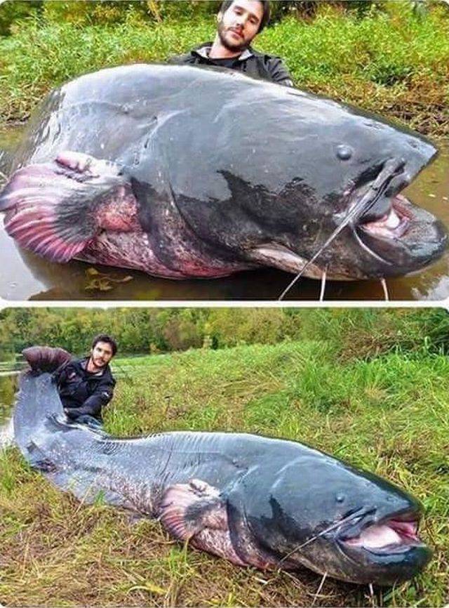 daily picdump 102 pics 32.html - 102 HD Photos | Premium Gallery 2017