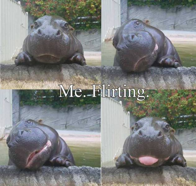 daily picdump 102 pics 32.html - 102 HD Photos | Premium Gallery 2017