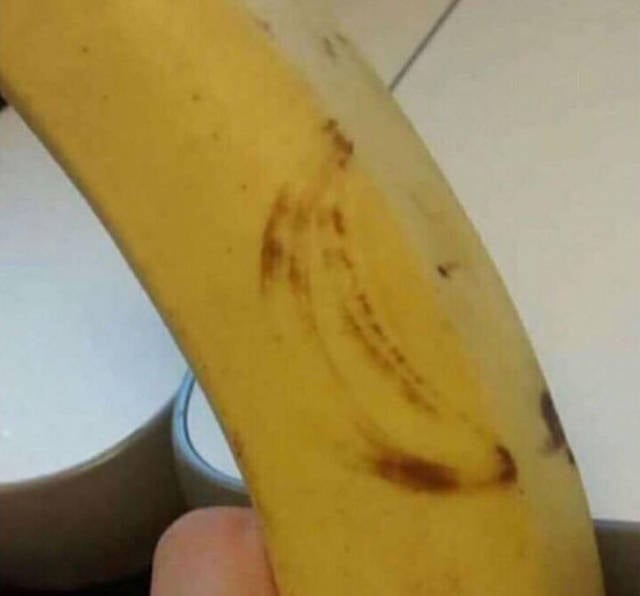 Daily Picdump [WEEKEND EDITION]