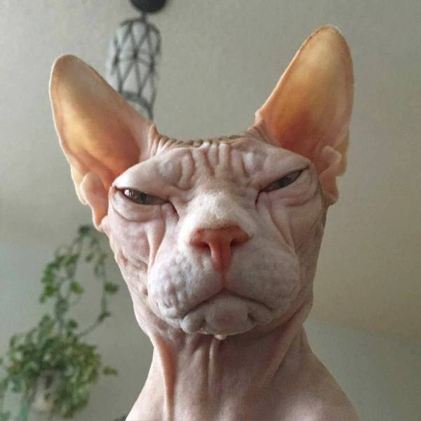 Daily Picdump [WEEKEND EDITION]