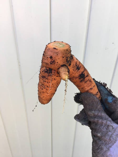 daily picdump weekend edition 55 pics 21.html - 55 HD Photos | Premium Gallery 2017