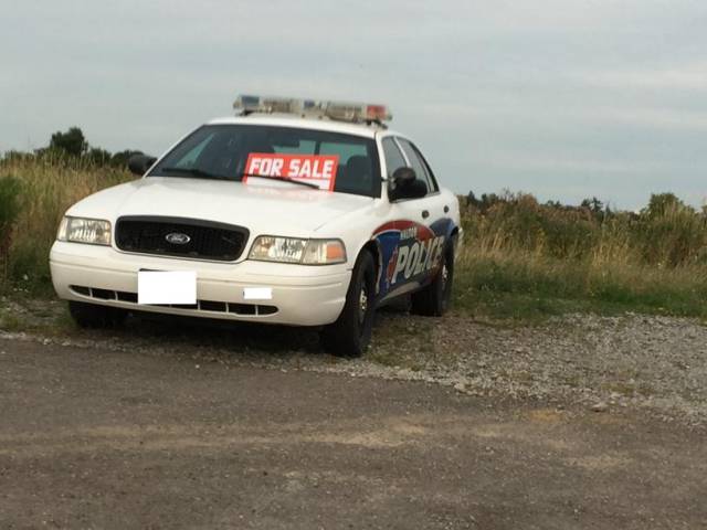 daily picdump weekend edition 55 pics 21.html - 55 HD Photos | Premium Gallery 2017