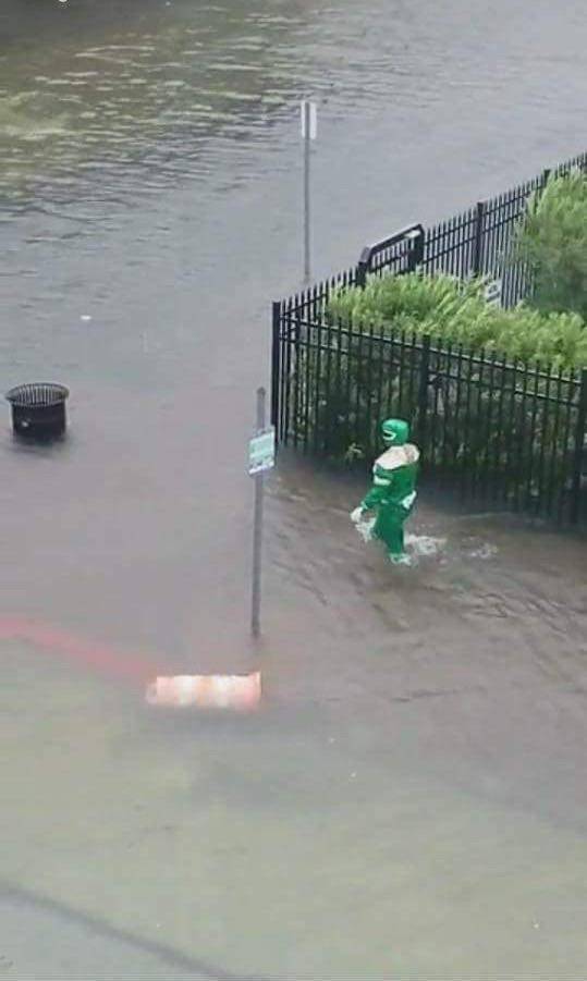 daily picdump weekend edition 55 pics 21.html - 55 HD Photos | Premium Gallery 2017