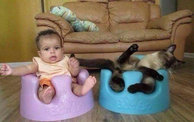 daily picdump 103 pics 12.html - 103 HD Photos | Premium Gallery 2017