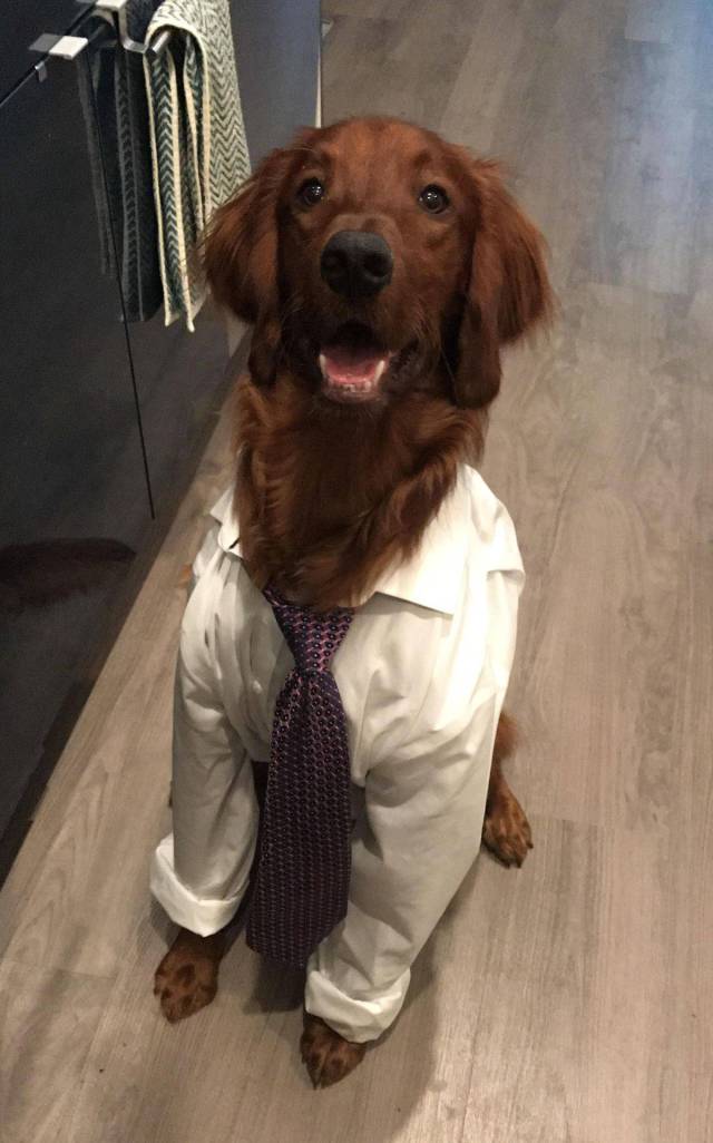 daily picdump 103 pics 12.html - 103 HD Photos | Premium Gallery 2017