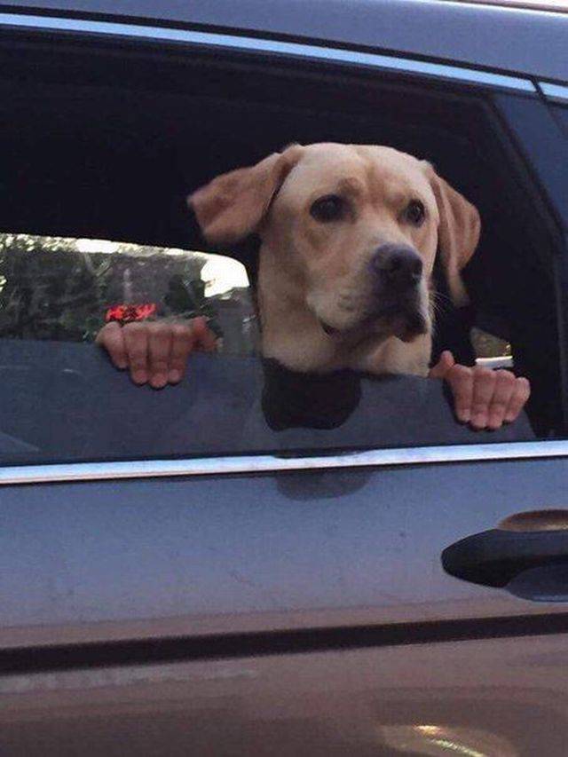 daily picdump 103 pics 12.html - 103 HD Photos | Premium Gallery 2017