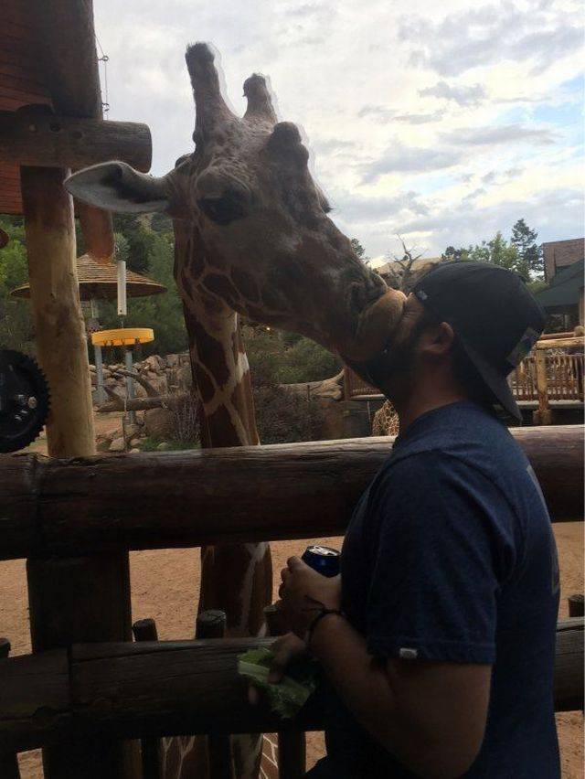 daily picdump 103 pics 12.html - 103 HD Photos | Premium Gallery 2017