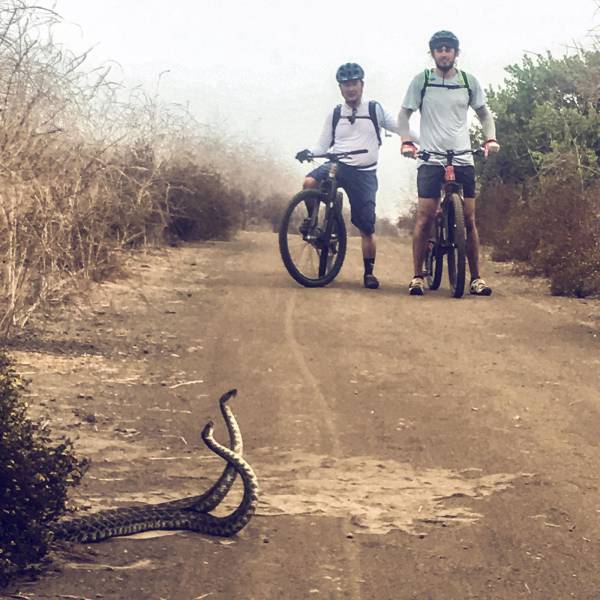 daily picdump 100 pics 35.html - 100 HD Photos | Premium Gallery 2017