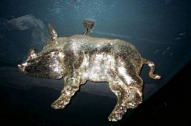 daily picdump 100 pics 35.html - 100 HD Photos | Premium Gallery 2017