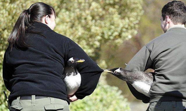 daily picdump 100 pics 35.html - 100 HD Photos | Premium Gallery 2017