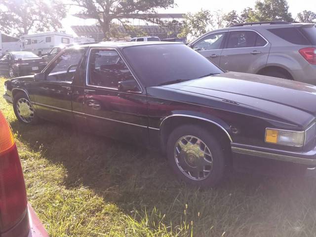 daily picdump 100 pics 35.html - 100 HD Photos | Premium Gallery 2017