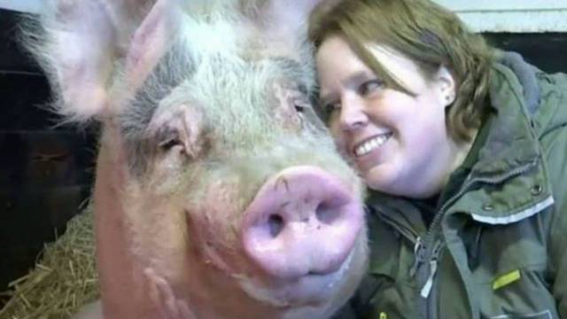 daily picdump 100 pics 35.html - 100 HD Photos | Premium Gallery 2017