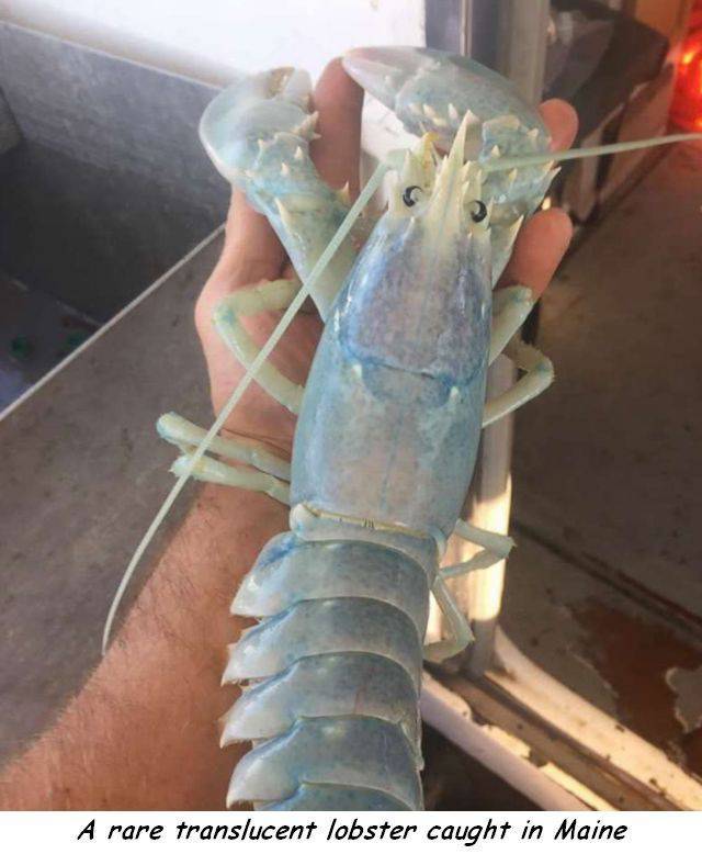 daily picdump 100 pics 35.html - 100 HD Photos | Premium Gallery 2017