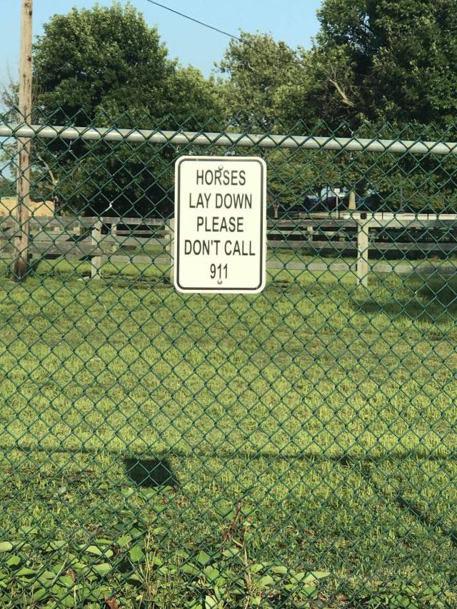 daily picdump 100 pics 35.html - 100 HD Photos | Premium Gallery 2017