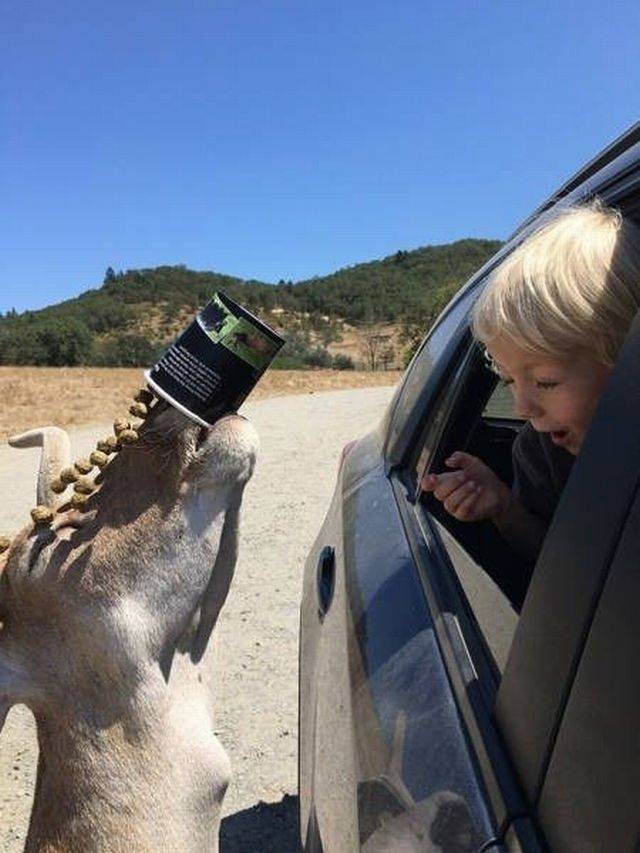 daily picdump 100 pics 35.html - 100 HD Photos | Premium Gallery 2017