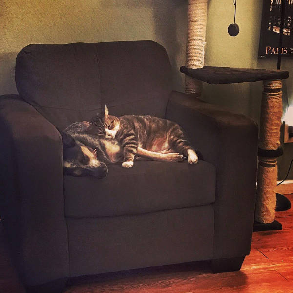 morning picdump 52 pics 4.html - 52 HD Photos | Premium Gallery 2017