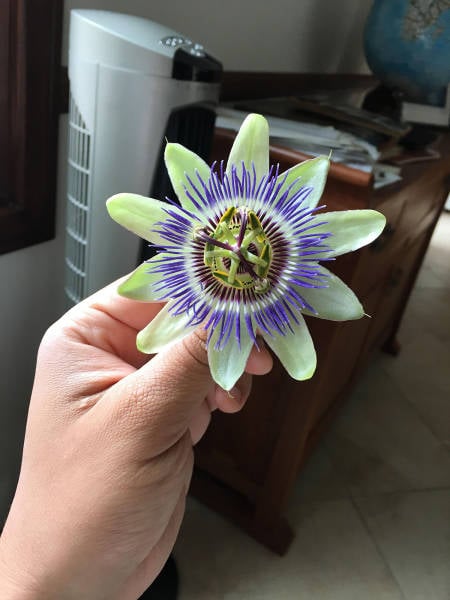 morning picdump 52 pics 4.html - 52 HD Photos | Premium Gallery 2017