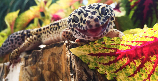 morning picdump 52 pics 4.html - 52 HD Photos | Premium Gallery 2017