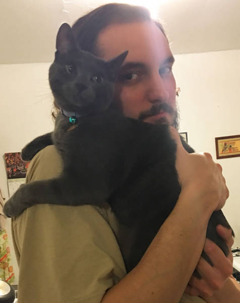 No One Can Hate Cats Forever!