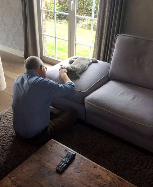 No One Can Hate Cats Forever!