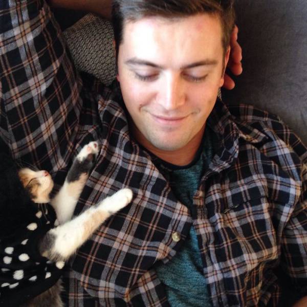 No One Can Hate Cats Forever!