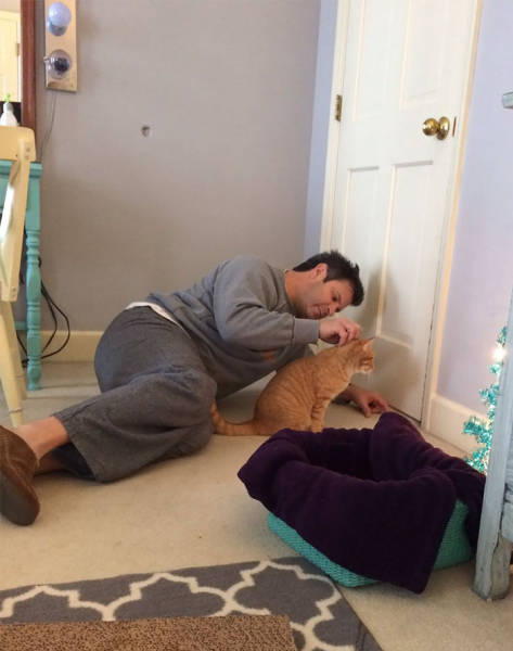 No One Can Hate Cats Forever!