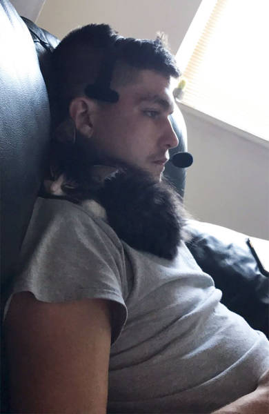 No One Can Hate Cats Forever!